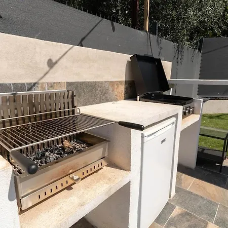 Magnifique Avec Piscine Et Jardin Daire Nice