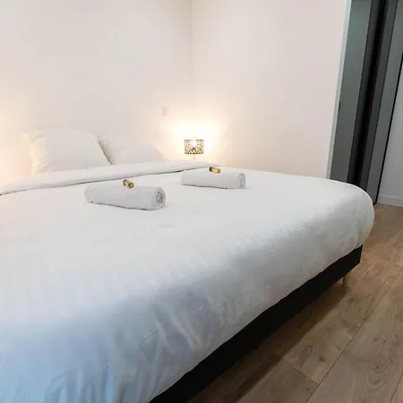 公寓 Magnifique Avec Piscine Et Jardin 尼斯