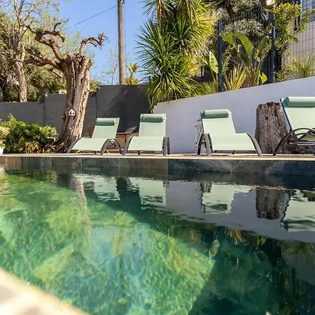 Daire Magnifique Avec Piscine Et Jardin Nice