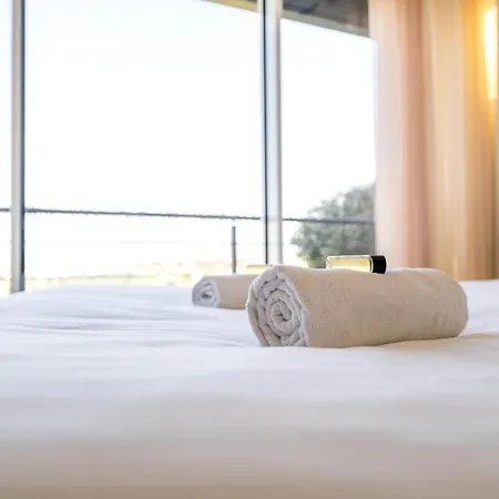 Magnifique Avec Piscine Et Jardin * 尼斯